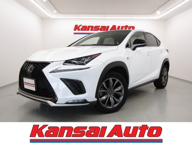 Lexus NX 1