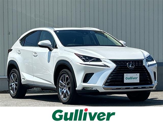 2019 Lexus NX
