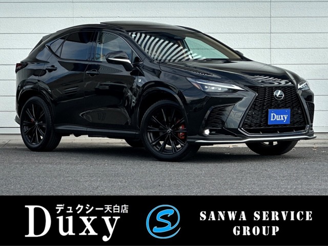 Lexus NX 1
