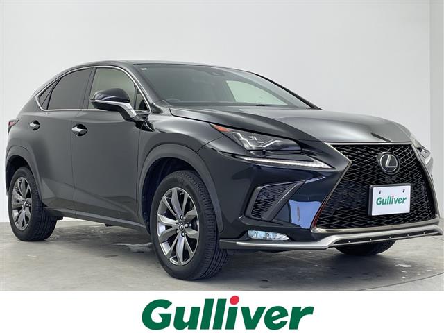2018 Lexus NX