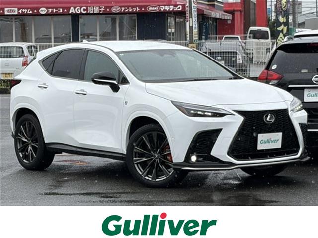 2024 Lexus NX