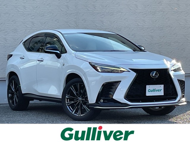2021 Lexus NX