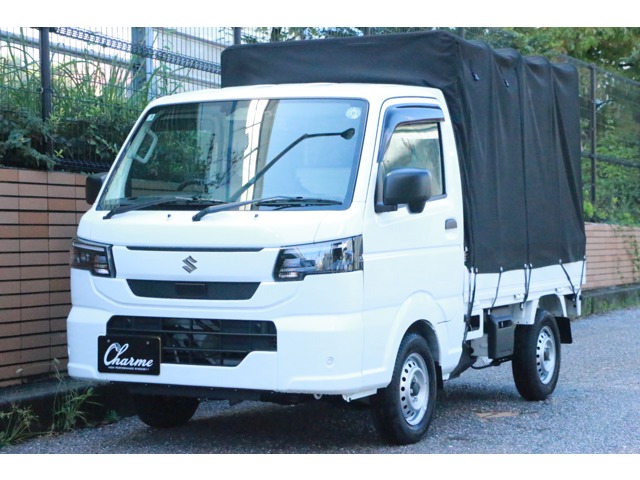Suzuki Carry 1