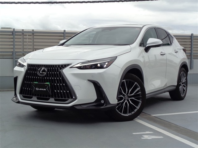 Lexus NX 1