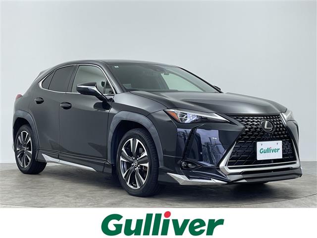 Lexus UX 1