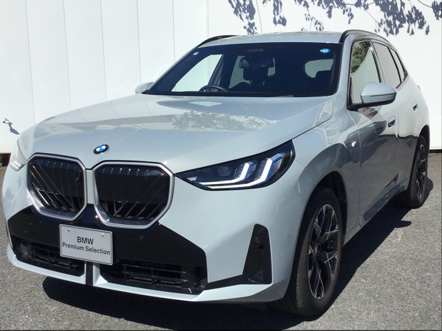 2025 BMW X3