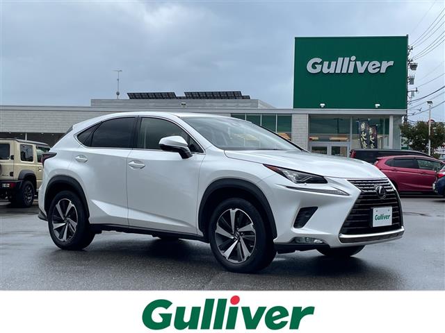2021 Lexus NX
