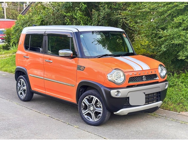 2015 Suzuki Hustler