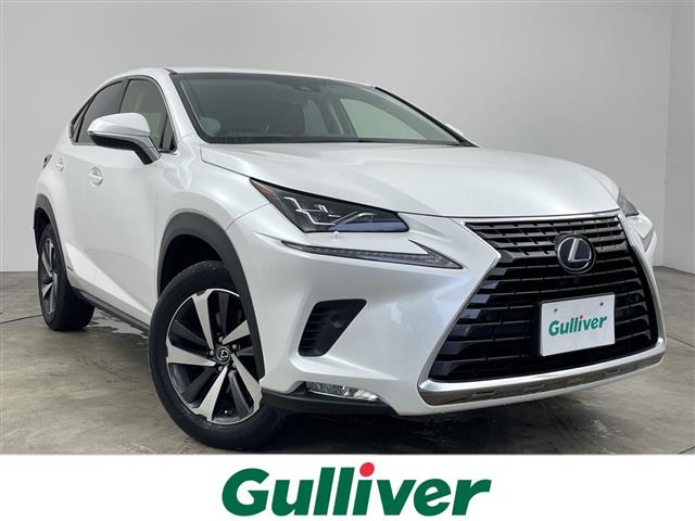 Lexus NX 1