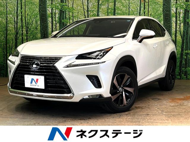 2019 Lexus NX