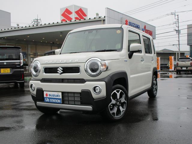 Suzuki Hustler 1
