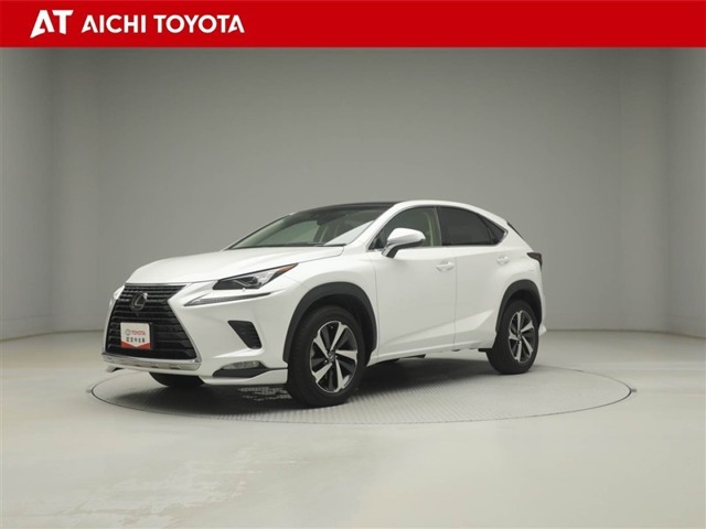2018 Lexus NX
