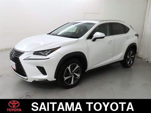 2018 Lexus NX