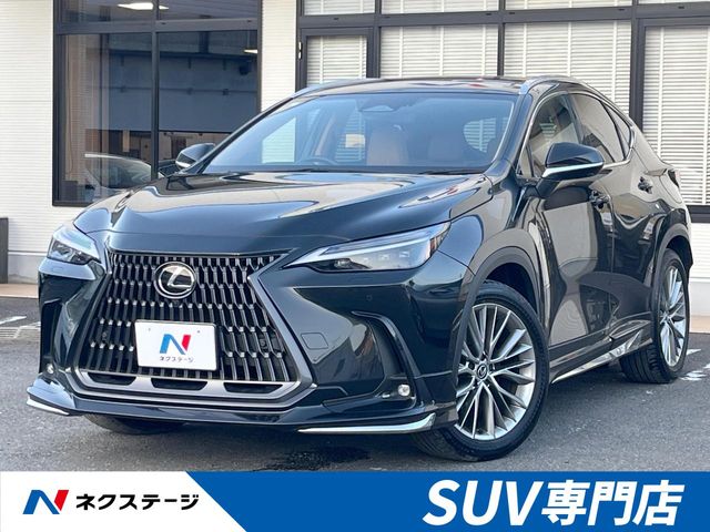 Lexus NX 1