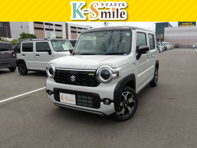 Suzuki Hustler 1