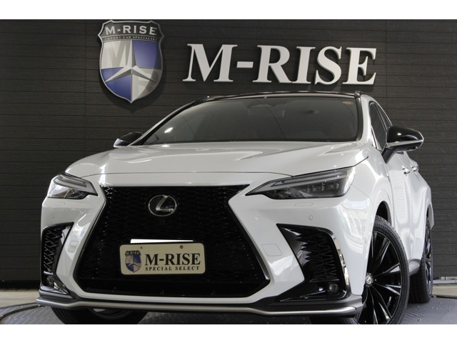 Lexus NX 1