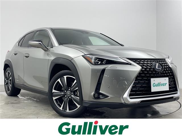 Lexus UX 1