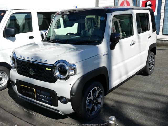 2026 Suzuki Hustler