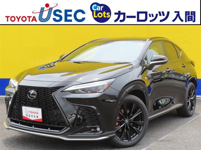 Lexus NX 1