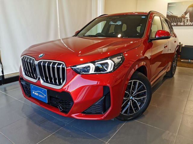 BMW X1 2
