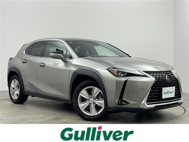 2020 Lexus UX