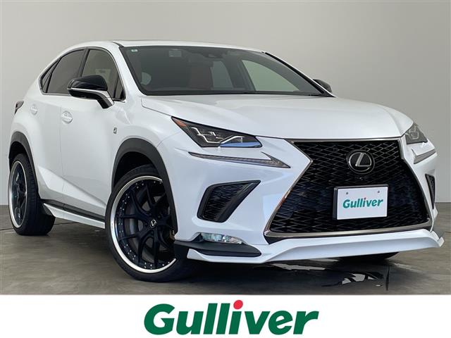 2019 Lexus NX