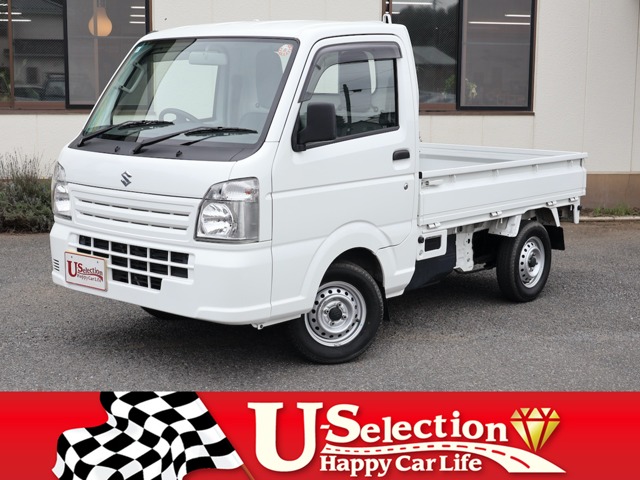 Suzuki Carry 1