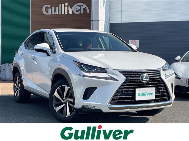 Lexus NX 1