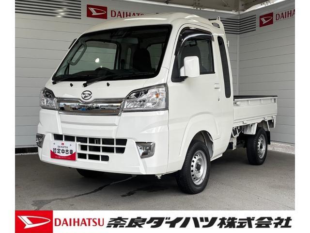 Daihatsu Hijet Truck 1