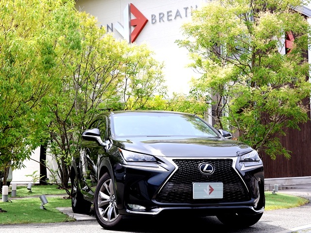 2015 Lexus NX