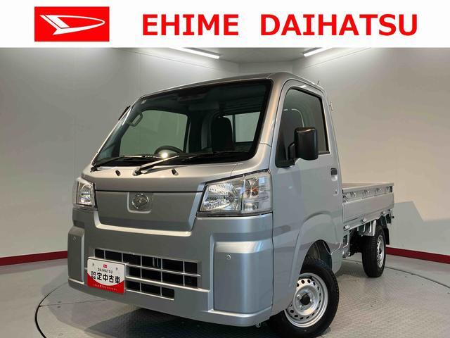 Daihatsu Hijet Truck 1
