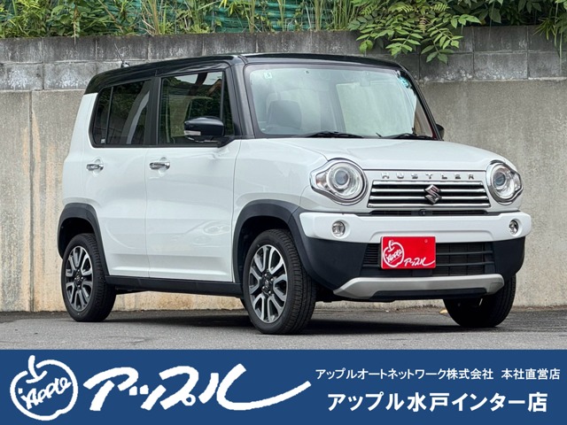 Suzuki Hustler 1