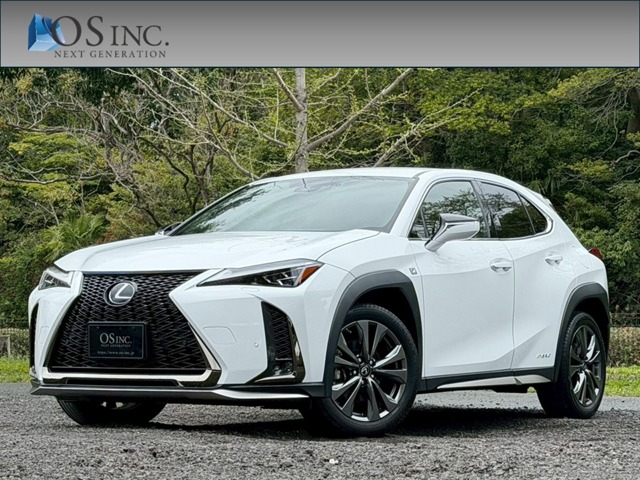 2019 Lexus UX