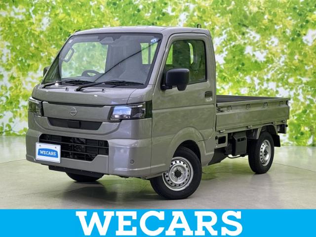 Nissan Clipper Truck 1