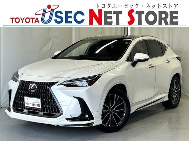 2024 Lexus NX