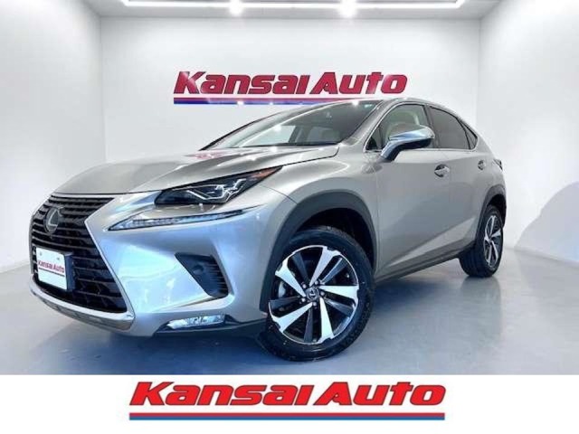 2018 Lexus NX