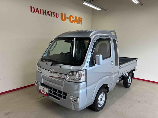 2019 Daihatsu Hijet Truck
