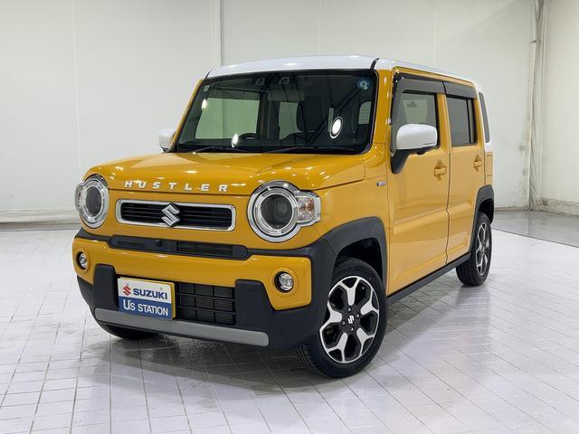 Suzuki Hustler 1