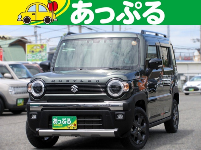 Suzuki Hustler 1