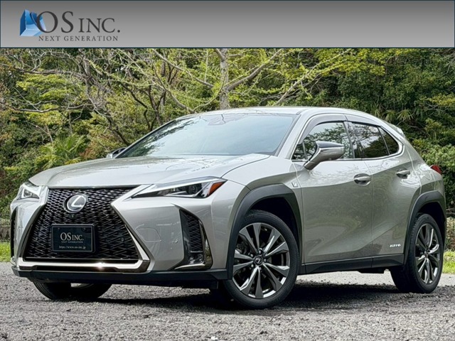 Lexus UX 1