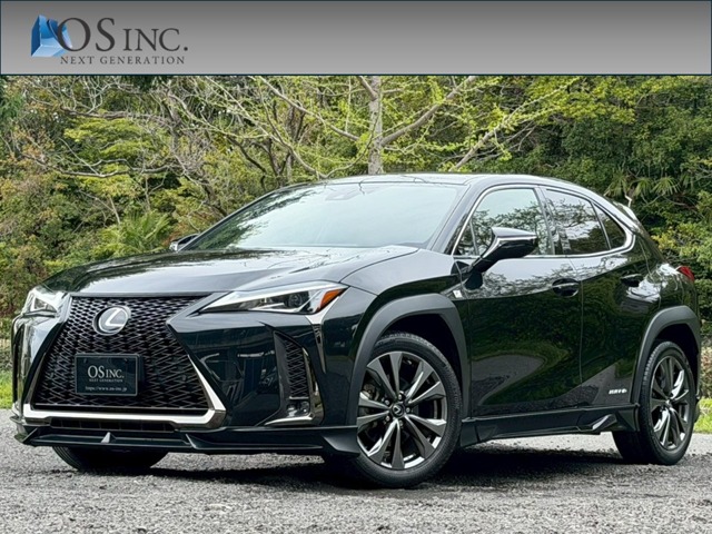 2019 Lexus UX