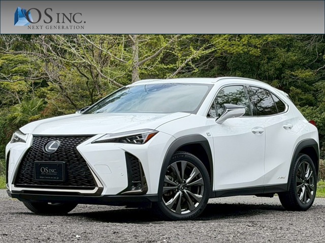 Lexus UX 1
