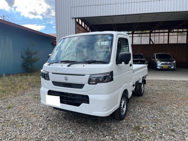 Suzuki Carry 1