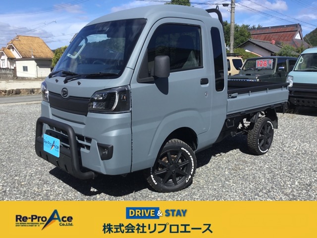 Daihatsu Hijet Truck 1