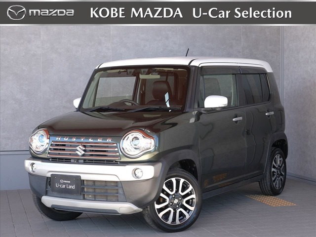 Suzuki Hustler 1