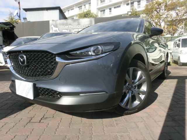 Mazda CX-30 1