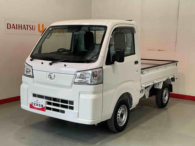 Daihatsu Hijet Truck 1