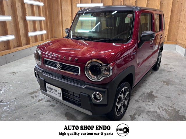 Suzuki Hustler 1