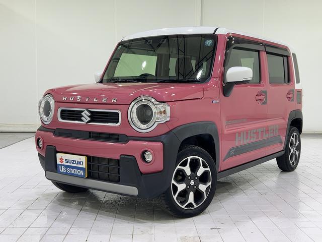 Suzuki Hustler 1