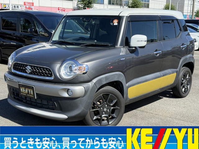 2018 Suzuki XBEE